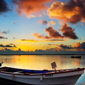 欧美性爱日夜射
