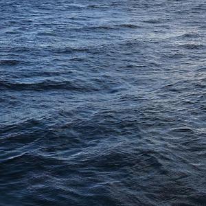 欧美性爱日夜射
